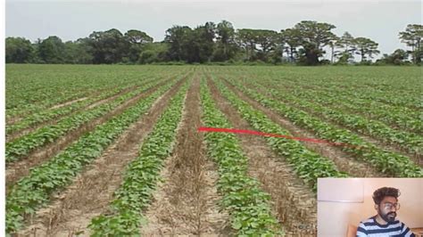 strip cropping pros and cons.